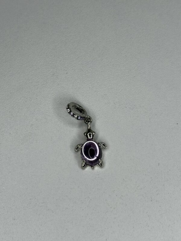 Tortue violette