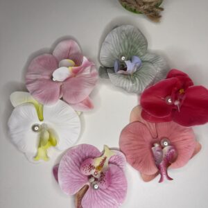 Barette orchids