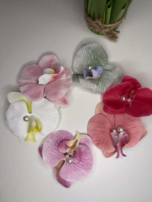 Barette orchids