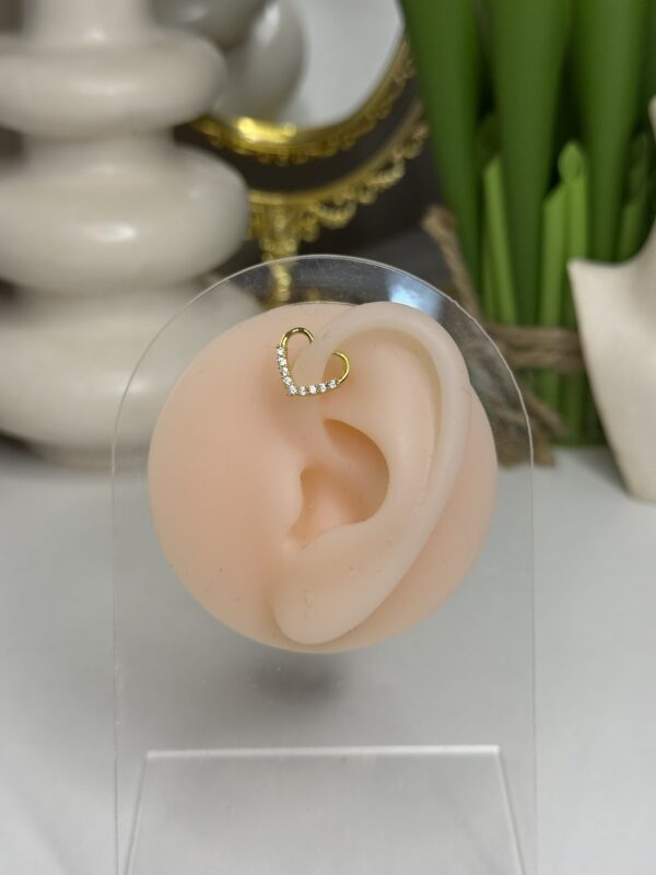 Piercing nez / oreille – Image 2
