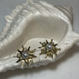 Boucles d’oreilles étoile polaire