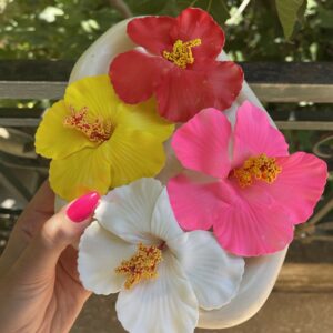 Pincette hibiscus 🌺