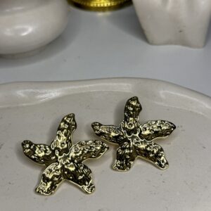 Boucle d’oreille étoile